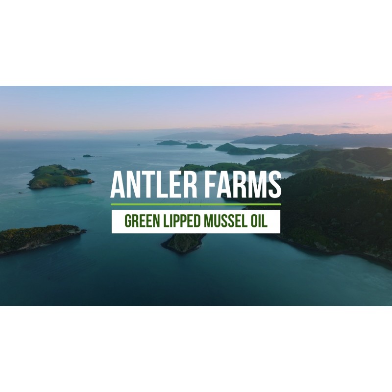 Antler Farms - 100% 순수 뉴질랜드 녹색 입 홍합 오일, 동등. ~ 12,500mg, 120 소프트젤 - 강력한 125:1 추출물, 2개월 분량