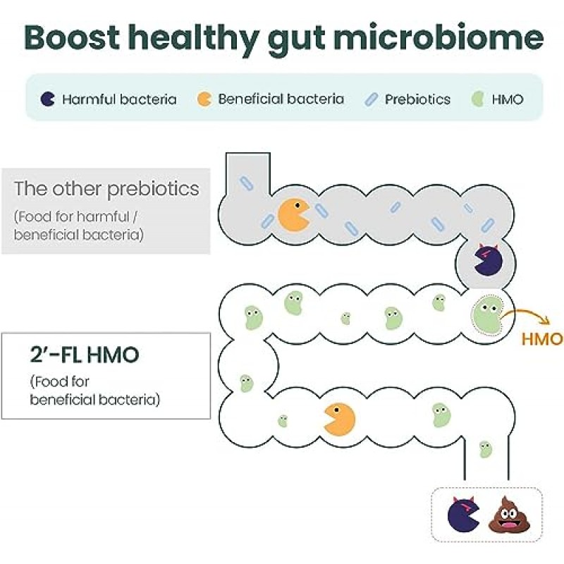 MOMSTAMIN HMO(인유올리고당) 여성, 남성을 위한 슈퍼 프리바이오틱스 및 프로바이오틱스 : 면역 소화제 | HMO 프로바이오틱스 | HMO 보충 | 프리바이오틱스 파우더 | IBS 구호 - 30 패킷
