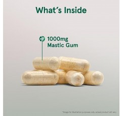 Jarrow Formulas 매스틱 검 1000 mg, 위장 건강 지원을 위한 건강 보조 식품, 60 식물성 캡슐, 30일 분량
