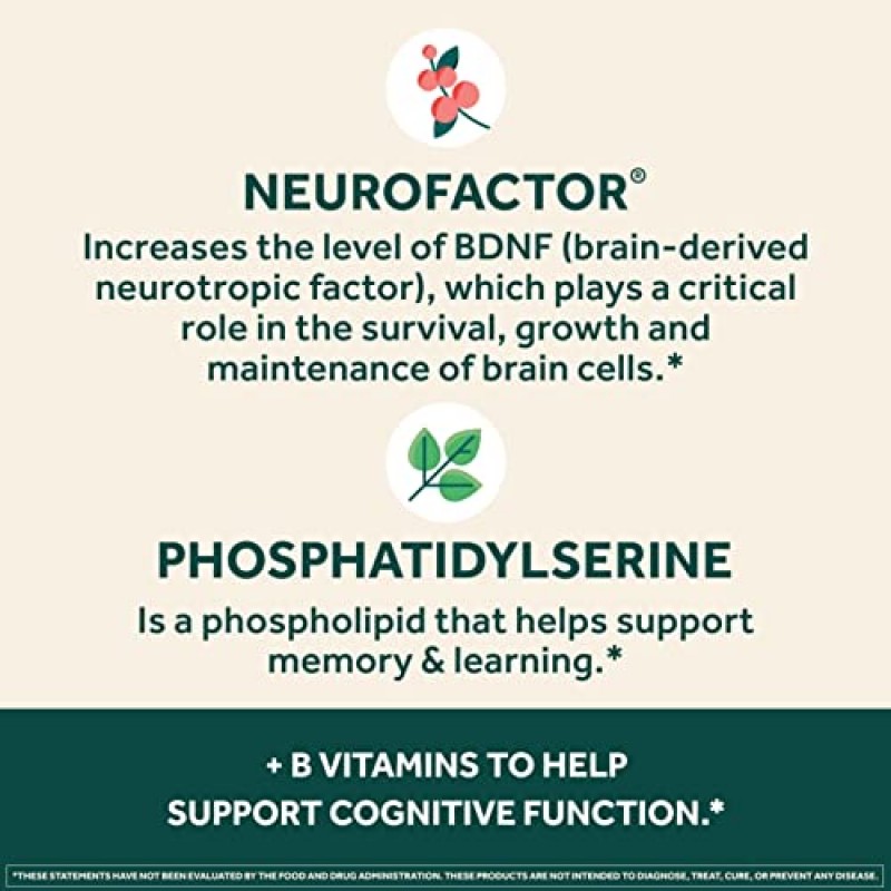 NEURIVA Plus 기억력 및 집중력을 위한 뇌 보충제 임상적으로 테스트된 누트로픽 정신 선명도를 위한 집중력, 인지 강화 비타민 B6, B12, 포스파티딜세린 30 캡슐