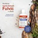 Vital Earth Minerals Fulvic Minerals Liquid – 세포 해독, 건강, 내장 건강을 위한 70+ 미량 미네랄, 전해질, 풀빅산 미네랄, 32 Fl Oz (2팩)