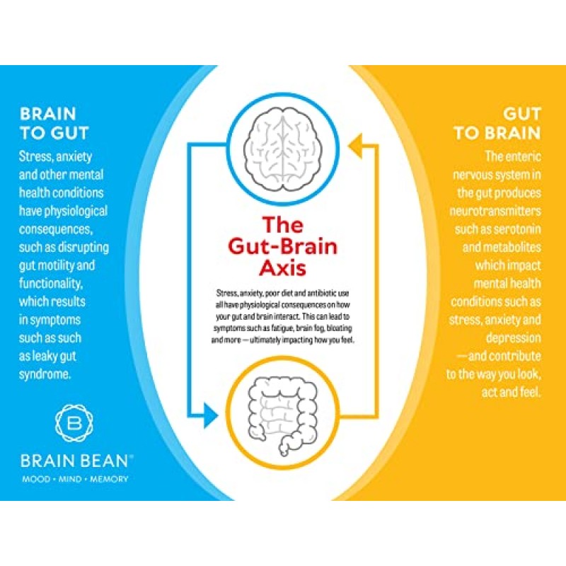 Brain Basics 울트라 퓨어 IgG 보충제 - 유제품이 들어있지 않은 보충제 IgG-면역 분말, 혼합 비타민 및 미네랄 보충제, 150g, 60회분