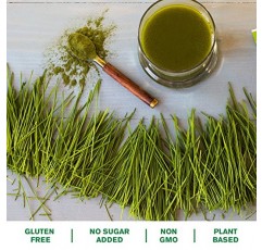 Amazing Grass 밀싹 분말: 에너지, 해독 및 면역 지원을 위한 100% 통잎 밀풀 분말, 녹색 채소를 제공하는 엽록소, 100회분