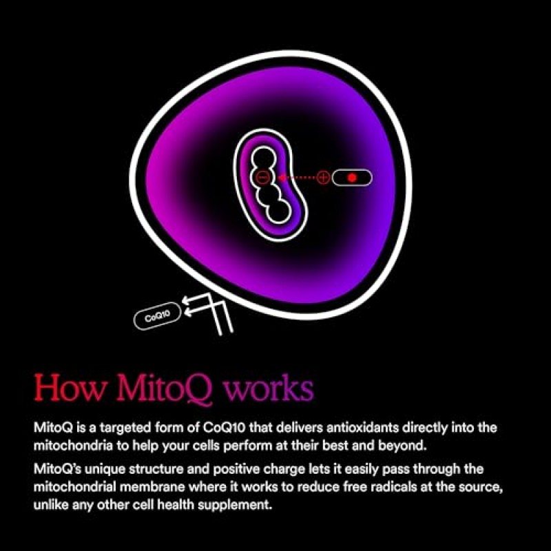 MitoQ Advanced CoQ10 유비퀴놀 보충제, 미토콘드리아를 위한 항산화 지원, 장기 건강, 건강한 노화 및 세포 에너지(60 식물성 캡슐)