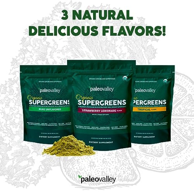 Paleovalley Organic Supergreens - 면역 지원을 위한 유기농 그린 파우더 슈퍼푸드 - Paleo Green 파우더 블렌드 - 28회분 - 23 유기농 슈퍼푸드 - 글루텐 프리, 시리얼 풀, 대두 또는 곡물 없음