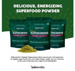 Paleovalley Organic Supergreens - 면역 지원을 위한 유기농 그린 파우더 슈퍼푸드 - Paleo Green 파우더 블렌드 - 28회분 - 23 유기농 슈퍼푸드 - 글루텐 프리, 시리얼 풀, 대두 또는 곡물 없음