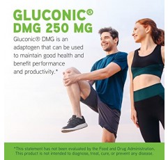DAVINCI Labs Gluconic DMG 250 mg - 지구력 및 면역 체계 기능을 지원하는 건강 보조 식품 - 정제당 250 mg N,N-디메틸글리신 함유 - 채식주의자 - 글루텐 무첨가 - 90 츄어블 정제