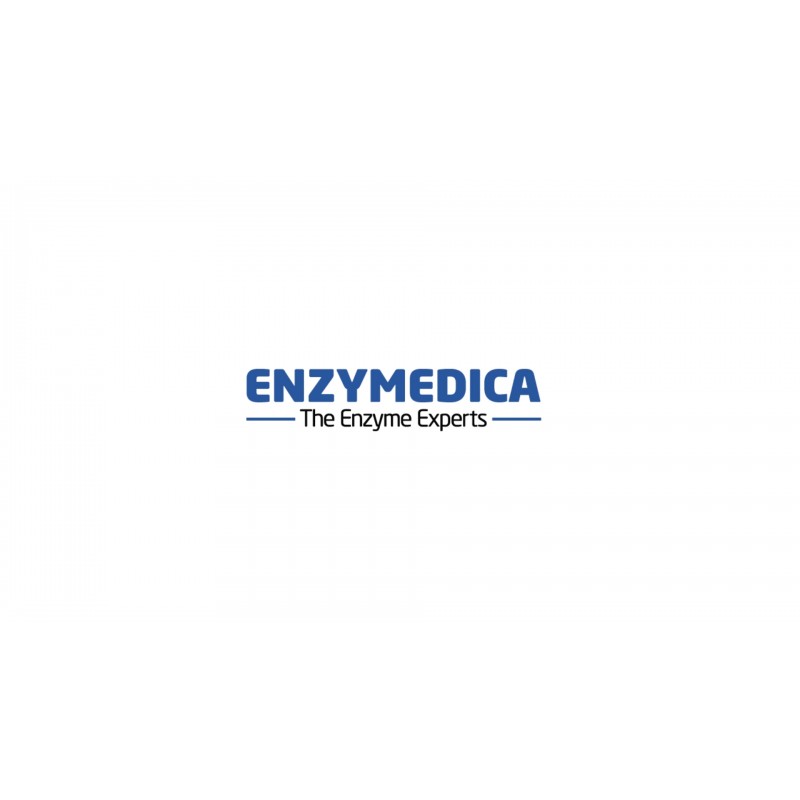 Enzymedica - ATPro가 함유된 다이제스트 골드, 효소와 ATP가 함유된 일일 소화 지원 보충제, 180 캡슐