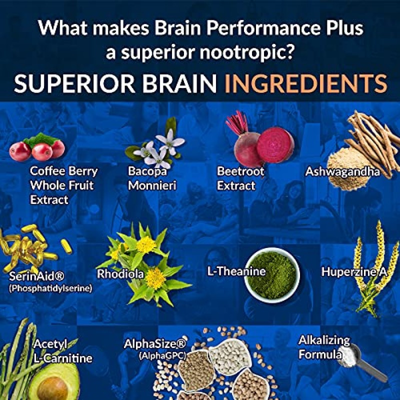 Alkalife Brain Performance Plus – 인지 잠재력을 최대화하고 기억력, 집중력 및 정신 선명도를 높이고 전반적인 뇌 건강을 지원하기 위해 Nootropic를 강화하는 최초의 알칼리성 – 10oz