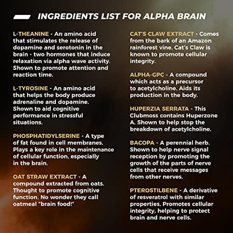 ONNIT Alpha Brain(120ct) - 1백만 병 이상 판매 - 프리미엄 누트로픽 뇌 보충제 - 집중력, 집중력 및 기억력 - Alpha GPC, L Theanine & Bacopa Monnieri