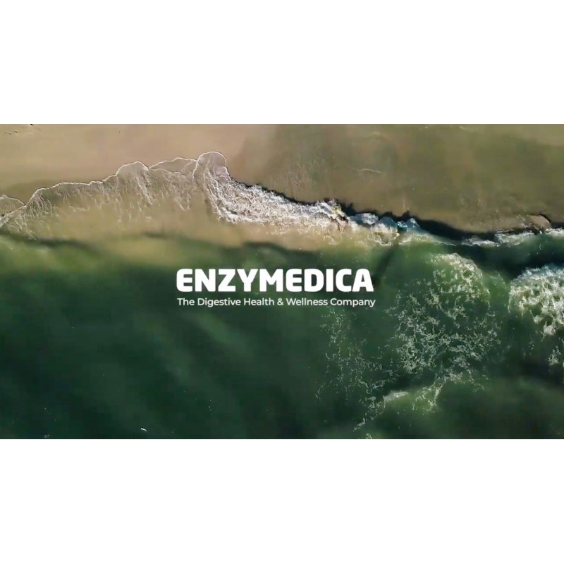 Enzymedica Lypo Gold, 농축된 양의 리파제 효소, 지방이 많은 음식 소화용, 240 캡슐(240회분)