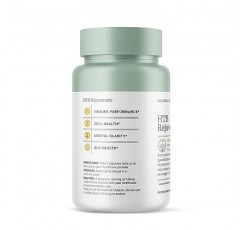 Big Bold Health HTB Rejuvenate - 면역 건강 지원 보충제 - 면역 회복 및 면역 지원을 위한 히말라야 타르타르 메밀 보충제(120캡슐)