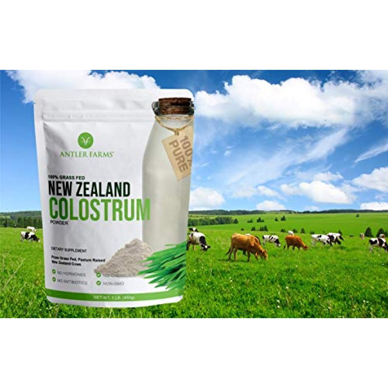 Antler Farms 100% 순수 뉴질랜드 초유, 30인분, 1파운드 - 목초 사육, 목초 사육, 청정 공급, 냉간 가공, 희석되지 않음, 높은 IgG 함량