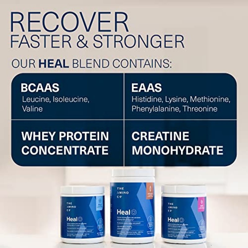 The Amino CO. - 힐 - 남성과 여성의 근육 회복 단축을 위한 Bcaas Plus 5 Eaas, 유청 단백질 및 크레아틴 함유 필수 아미노산 보충제 파우더 - 초콜릿(13.23온스)