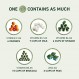 8Greens Daily Greens 발포성 정제 - 슈퍼푸드 부스터, 에너지 및 면역 지원, 실제 녹색으로 제조, 비타민 C, 오리지널 맛, 6개 팩