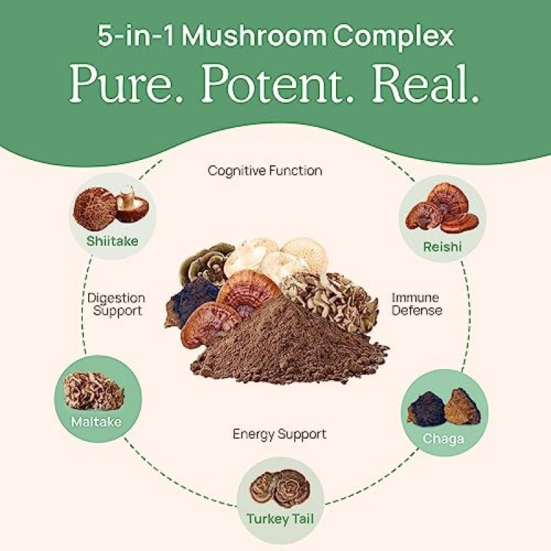 Real Mushrooms 5 Defenders 캡슐 - 차가버섯, 표고버섯, 잎새버섯, 칠면조 꼬리 및 영지 함유 유기농 버섯 추출물 - 뇌, 집중력 및 면역 지원을 위한 버섯 보충제 - 비건, 유전자 변형 성분 없음, 200정