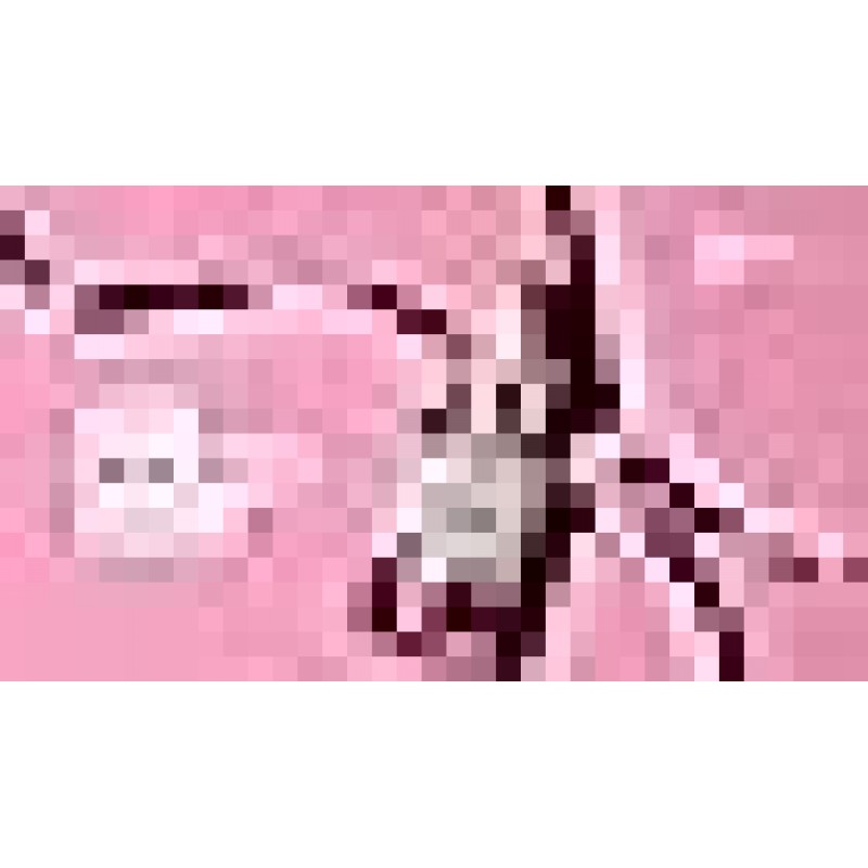 IT Cosmetics Bye Bye Lines 1.5% 히알루론산 세럼 - 2주 안에 눈에 띄게 피부를 탱탱하게 하고 잔주름을 부드럽게 해줍니다 - 펩타이드 + 비타민 B5 함유 - 모든 피부 타입용 - 비건 포뮬러 - 1 액량 온스