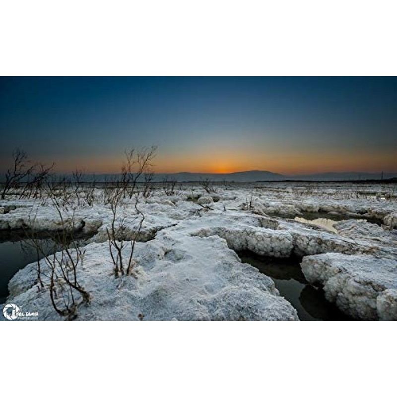 진주 파우더, 해초, 사해 미네랄을 특별하게 조합한 럭셔리 바디 크림은 진주빛 바디 크림으로 피부에 필수 성분을 공급합니다.