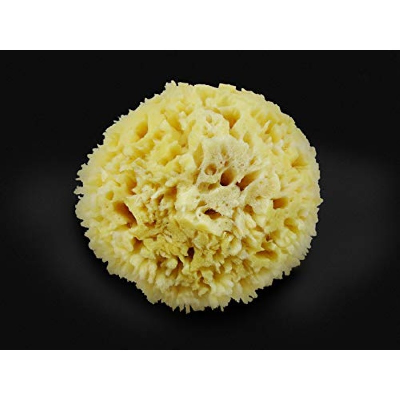 프리미엄 천연 씨울 스폰지 - 부드러운 리얼 스폰지 2개 6