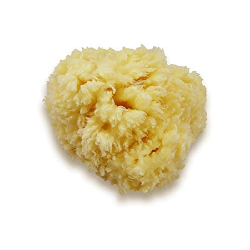 프리미엄 천연 씨울 스폰지 - 부드러운 리얼 스폰지 2개 6