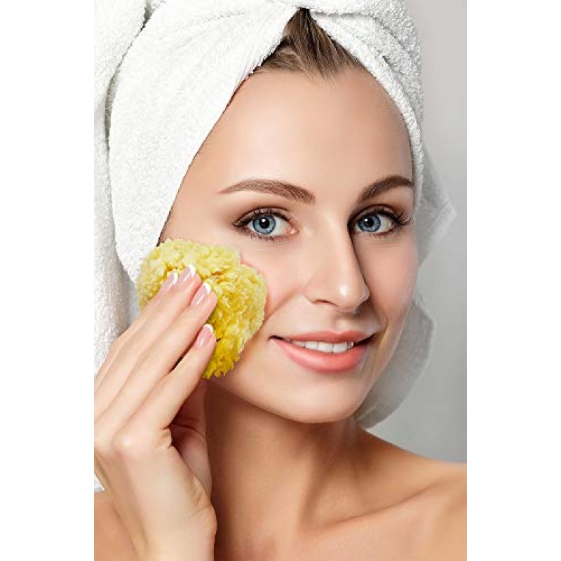 프리미엄 천연 씨울 스폰지 - 부드러운 리얼 스폰지 2개 6