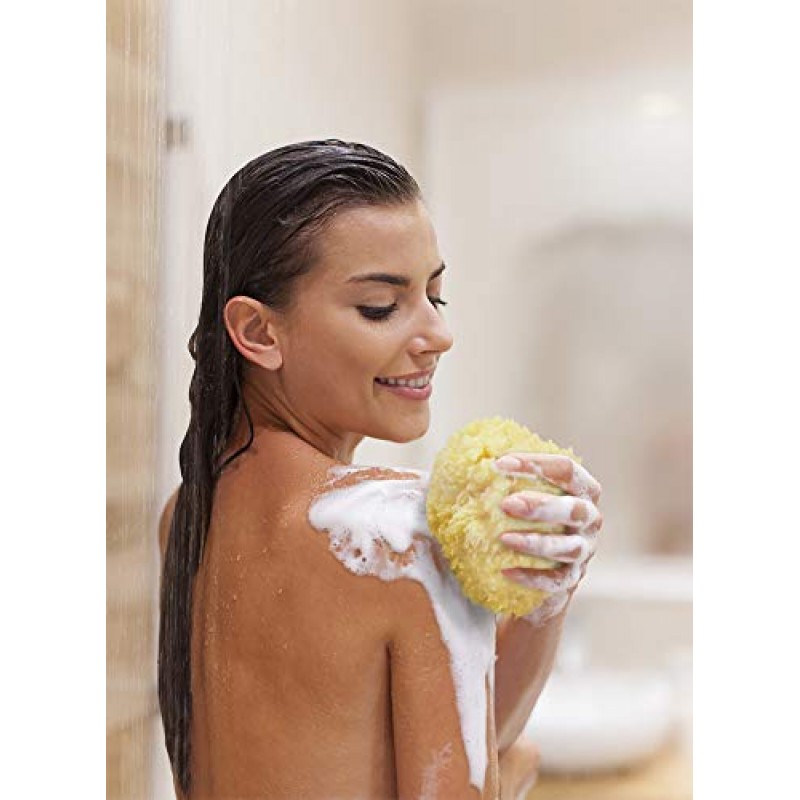 프리미엄 천연 씨울 스폰지 - 부드러운 리얼 스폰지 2개 6