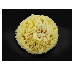 프리미엄 천연 씨울 스폰지 - 부드러운 리얼 스폰지 2개 6