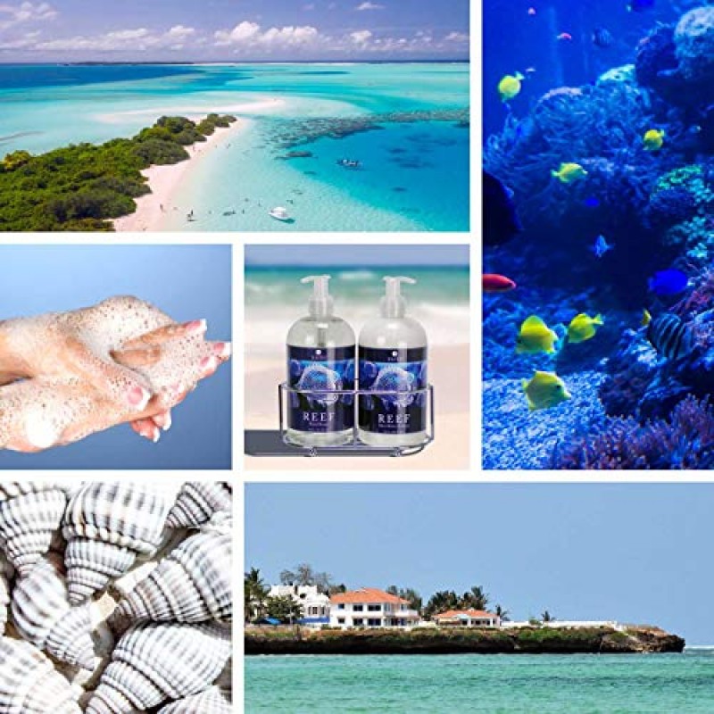 바다 다시마 추출물이 함유된 Jolitee Reef 럭셔리 시어 및 코코아 버터(캐디에 비누 및 로션 세트)