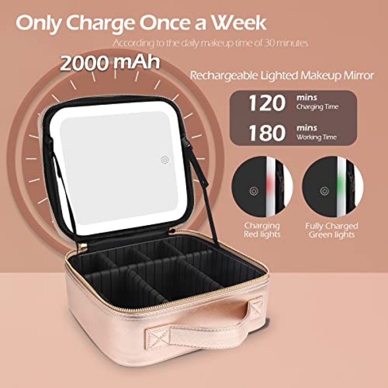 조명 거울 조명 메이크업 케이스가 포함된 Wangselect 메이크업 가방 조절 가능한 분배기, 보석 상자 및 1x/10x 확대 거울 샴페인이 있는 조명 메이크업 케이스