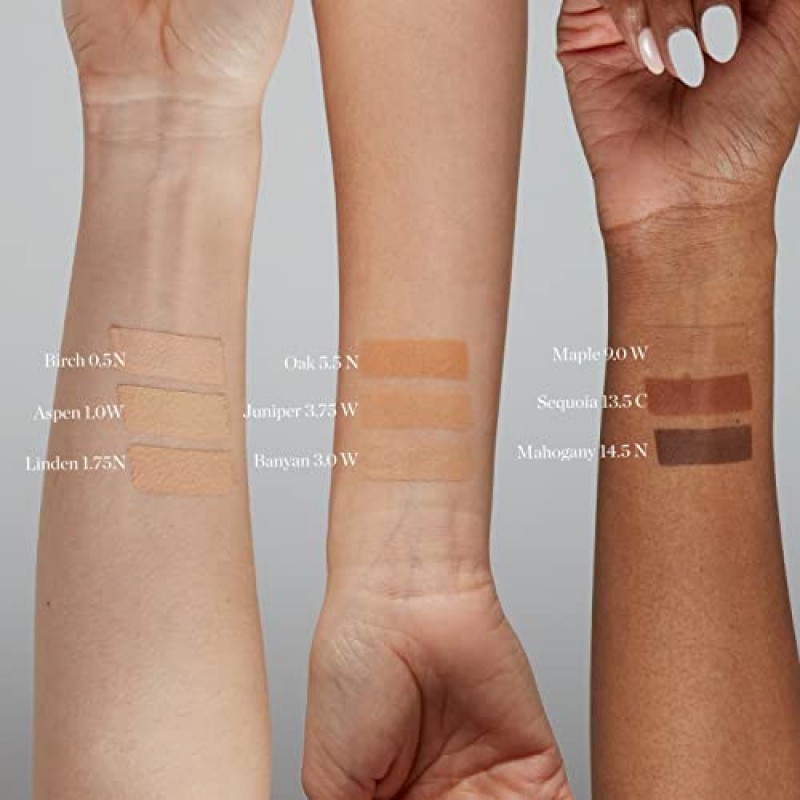 스컬프티드 컴플렉션 스틱 (아스펜 1.0W - 맑고 따뜻한 톤)