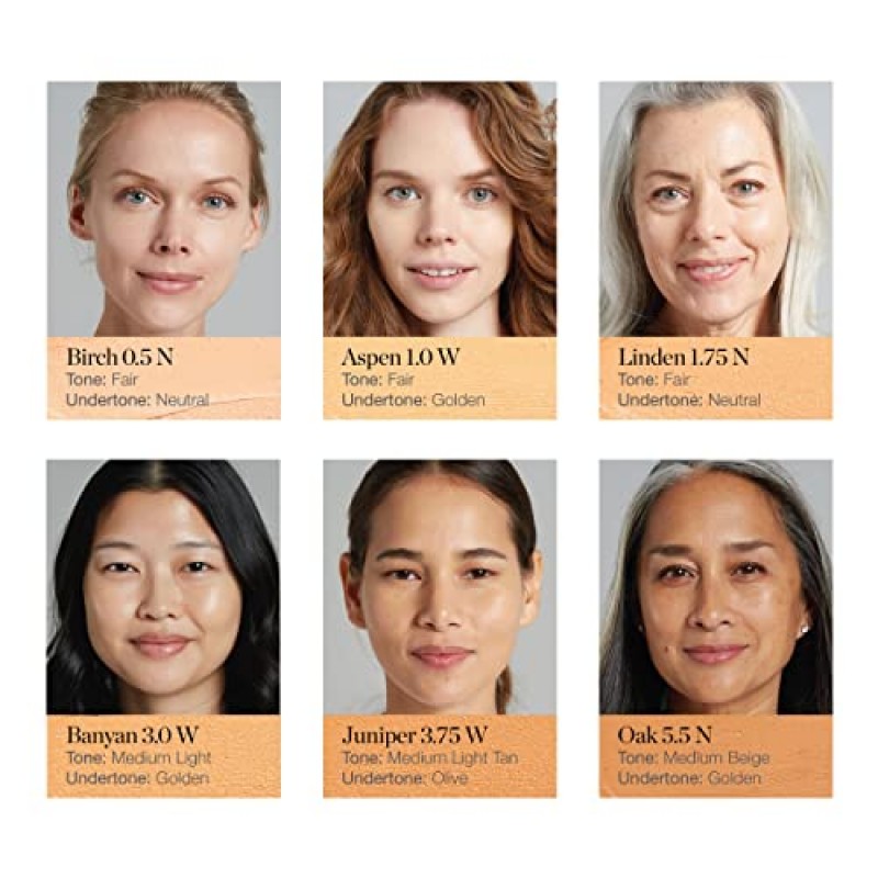 스컬프티드 컴플렉션 스틱 (아스펜 1.0W - 맑고 따뜻한 톤)