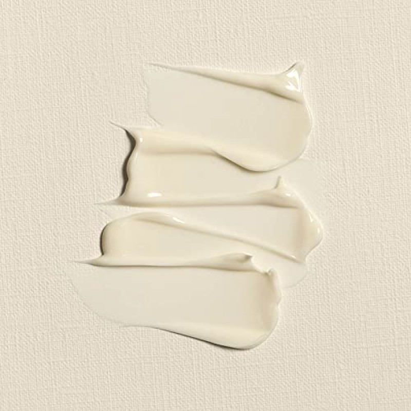 어니스트 뷰티 딥 하이드레이션 페이스 크림 with 바오밥 씨 오일 & 시어 버터 | 저자극성 + 피부과 테스트 완료 비코메도제닉 및 잔인성 방지|1.69 fl. 온스