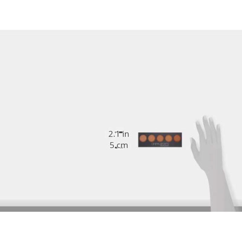 시네마 시크릿 프로 코스메틱 얼티밋 파운데이션 5-in-1 프로 팔레트