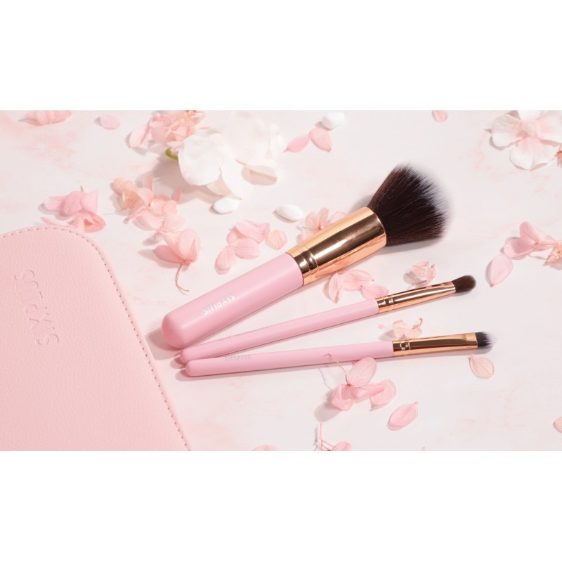 SIXPLUS 메이크업 브러쉬 세트 전문 케이스, 11개 핑크 귀여운 메이크업 브러쉬 파운데이션 파우더 컨실러 아이섀도 블러쉬, 휴대용 보관 가방, 가이드, 커버, 여성용 베스트 메이크업 브러쉬 키트 선물 여자친구 엄마 어머니의 날 선물