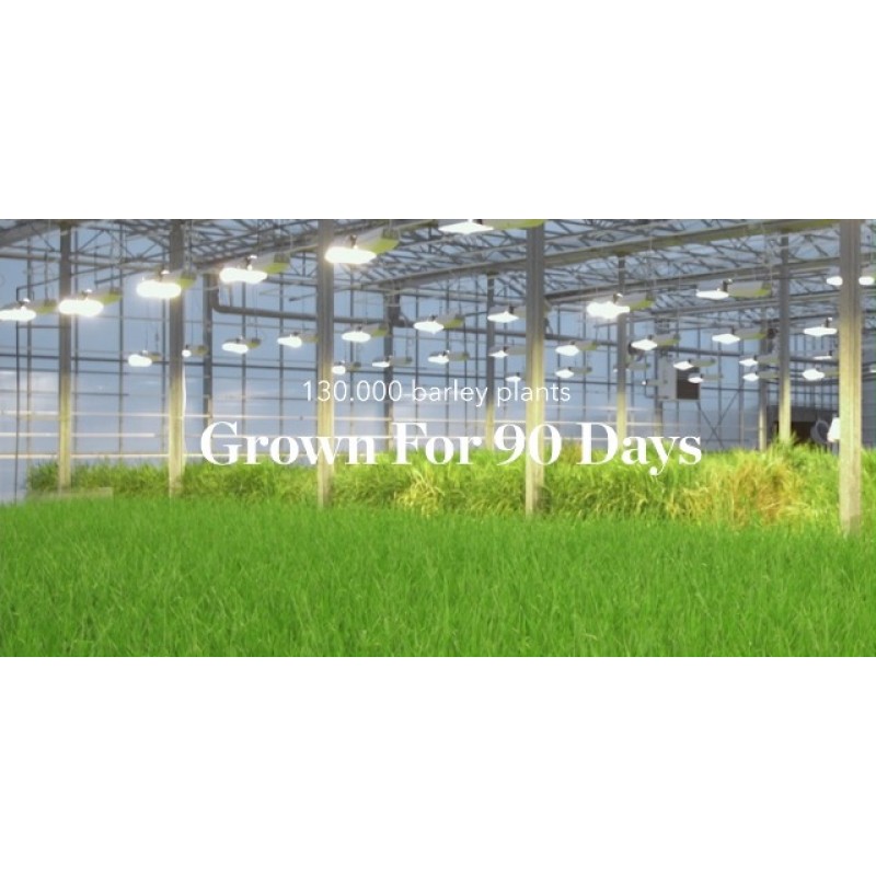 바이오이펙트 미셀라 클렌징 워터, 메이크업 리무버, 아이슬란드 지열 미네랄 용암수로 만든 하이드레이팅 페이셜 클렌저, 식물성 보습제, 무향 럭셔리 페이스 워시