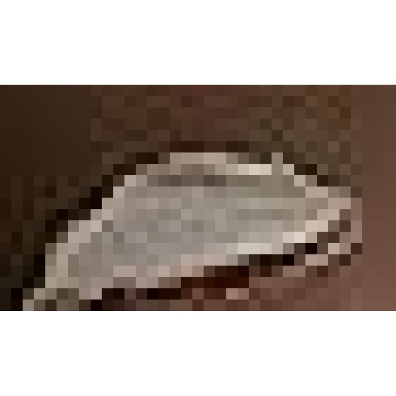 JLO BEAUTY Smooth + Seduce™ 하이드레이팅 바디 크림 | Heptapeptide-7 강화 + 세라마이드, 수화물, 윤곽, 매끈함 + 피부 탄력 | 6.7온스