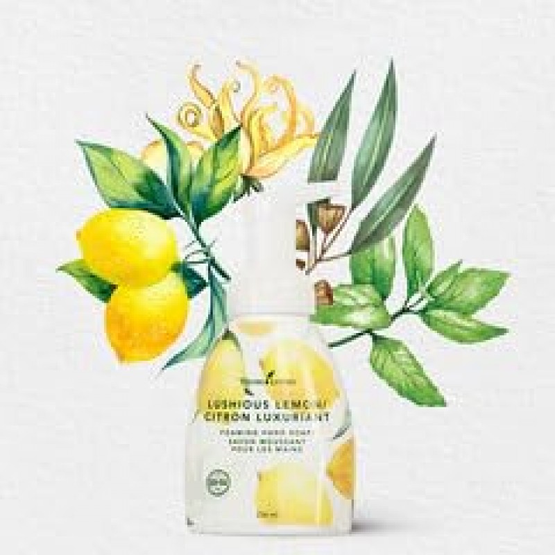 Young Living Lushious 레몬 포밍 핸드 솝 - 브라이트 시트러스 아로마 - 8 fl oz - 3병 및 펌프 팩 - 레몬, 레몬 머틀, 스피어민트, 일랑일랑 프리미엄 에센셜 오일 조합