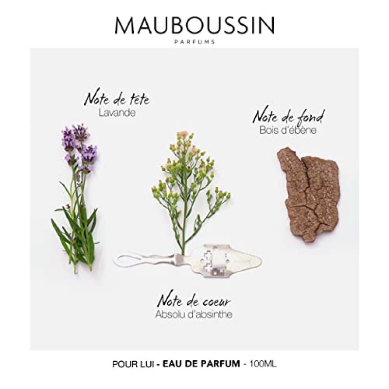 Mauboussin - 뿌르 루이 100ml(3.3 Fl Oz) - 남성용 오 드 퍼퓸 - 페르니 & 모던 향