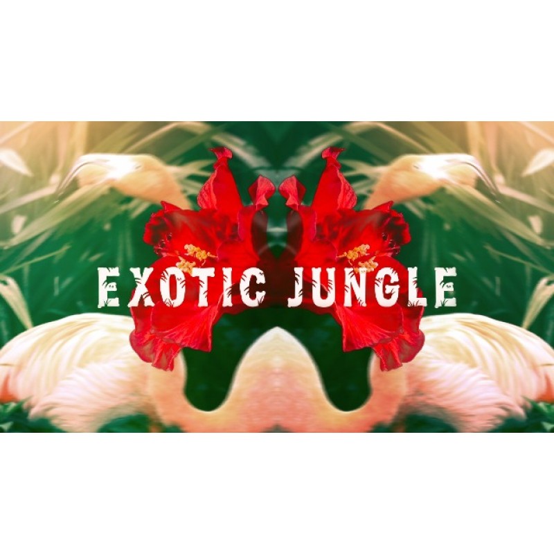To Be Exotic Jungle For Man By Police - 남성용 향수 - 스파클링 베르가못과 쥬시한 만다린 - 매끄러운 유혹의 물결로 변함 - 베티버와 시더우드의 풍부한 우디향 - 2.5온스 EDT 스프레이