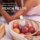 Skylar Peach Fields 오 드 향수 - 여성과 남성을 위한 저자극성 & 청결한 향수, 민감한 피부를 위한 비건 & 안전 - 만다린, 자몽, 백도 향이 나는 달콤한 향수 - (50mL /1.7 Fl oz)