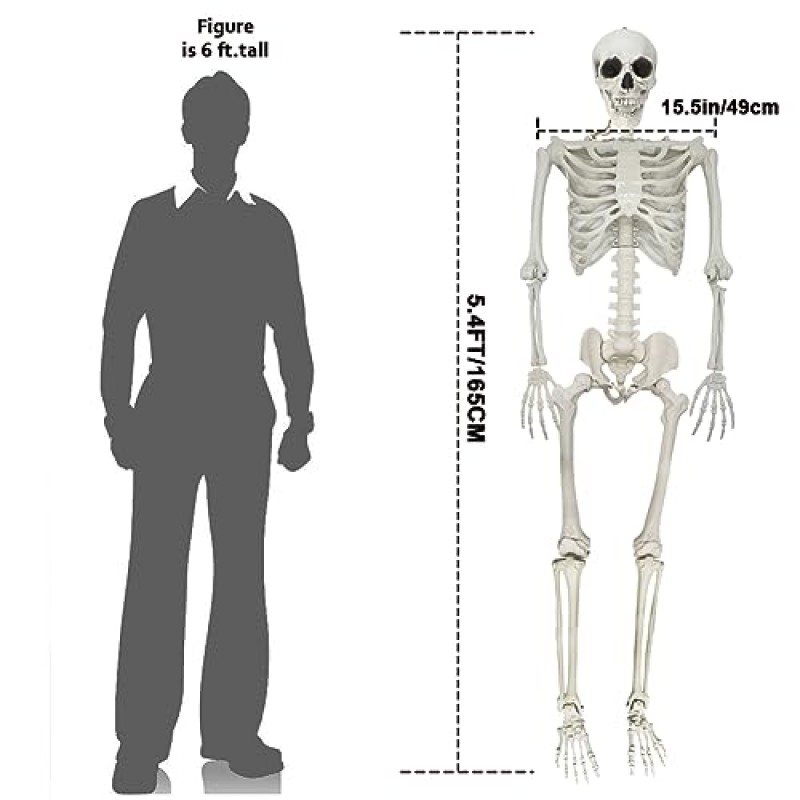 UMEELR 5.4FT/165CM 할로윈 해골, 할로윈 앞마당 파티오 잔디 정원 소품 짜증 파티 장식을위한 움직일 수있는 관절이있는 전체 크기 해골 해골 장식