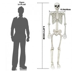 UMEELR 5.4FT/165CM 할로윈 해골, 할로윈 앞마당 파티오 잔디 정원 소품 짜증 파티 장식을위한 움직일 수있는 관절이있는 전체 크기 해골 해골 장식