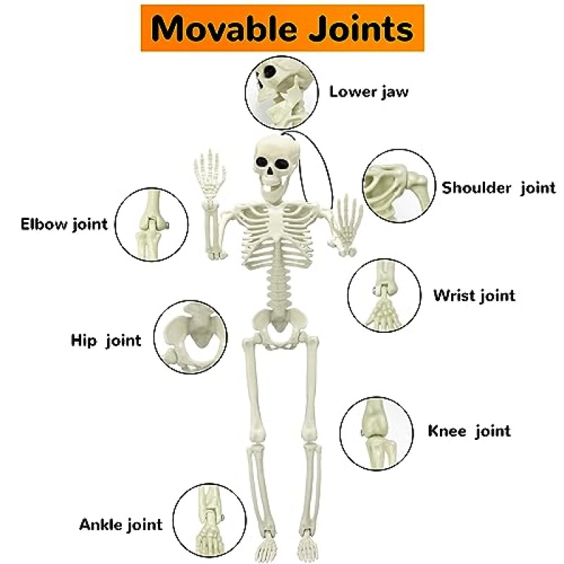 Giaueoa 4 Pcs Posable 해골 할로윈 해골 장식 16 인치 전신 Posable 관절 플라스틱 해골 장식 할로윈 유령의 집 파티 홈 소품 장식을위한 미니 해골 매달려