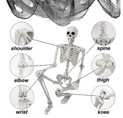 5.4ft/165cm 전체 크기 할로윈 해골 + 5Pcs 할로윈 소름 끼치는 천 - 할로윈 장식, 유령의 집, 테마 파티를 위한 움직일 수 있는 조인이 있는 현실적인 디자인 인간 해골