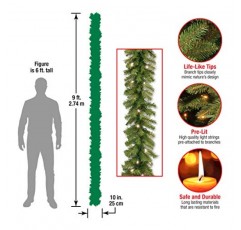 National Tree Company 사전 조명 인공 크리스마스 화환, 녹색, 노우드 전나무, 백색 조명, 플러그인, 크리스마스 컬렉션, 9피트