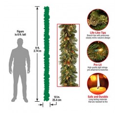 National Tree Company 사전 조명 인공 크리스마스 화환, 녹색, 캐롤라이나 소나무, 백색 조명, 솔방울 장식, 배터리 작동, 크리스마스 컬렉션, 9피트