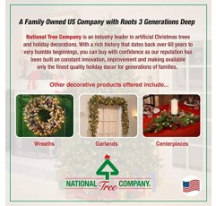 National Tree Company 사전 조명 인공 크리스마스 매달려 눈송이, 녹색, 서리로 덥은 베리 소나무, 솔방울로 장식, 베리 클러스터, 서리로 덥은 가지, 크리스마스 컬렉션, 32인치