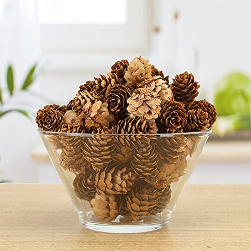 JOHOUSE 200PCS 천연 미니 소나무 콘, 천연 소나무 콘 크리스마스 소나무 콘 PineCones 장식품 가을과 겨울 장식 크리스마스 장식