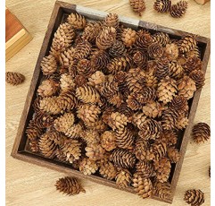 JOHOUSE 200PCS 천연 미니 소나무 콘, 천연 소나무 콘 크리스마스 소나무 콘 PineCones 장식품 가을과 겨울 장식 크리스마스 장식