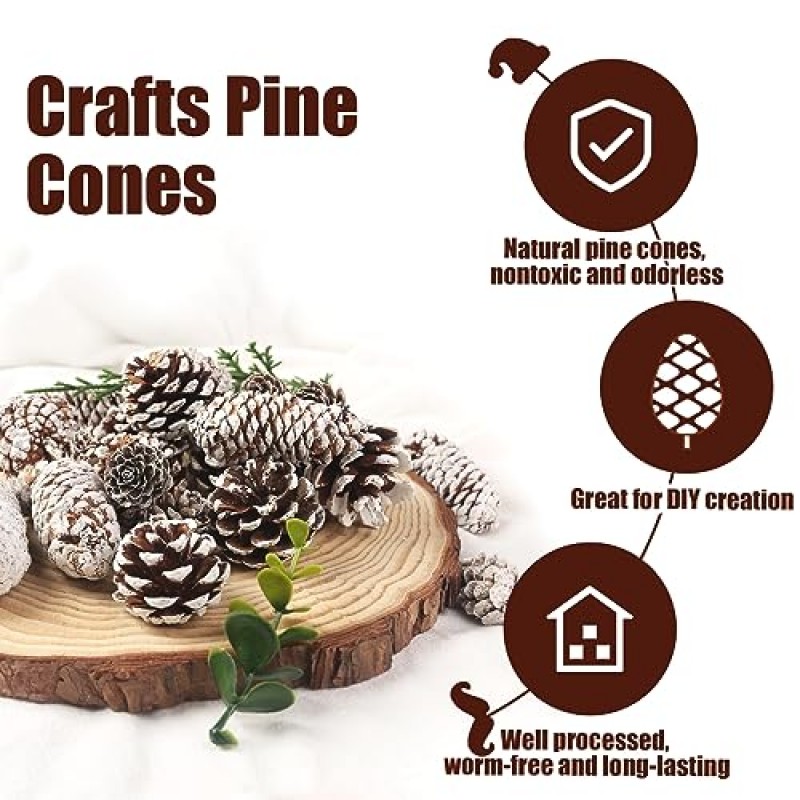 JOHOUSE 40PCS 장식을위한 눈 Pinecones, 공예품을위한 천연 소나무 콘 크리스마스 트리를위한 크리스마스 소나무 콘 장식품 겨울 휴가 매달려 장식품